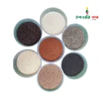 সীডস-Seeds